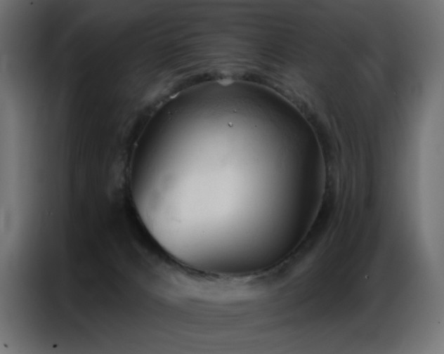 X0000086900032200704161328