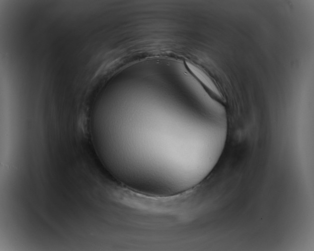 X0000086900035200704161328