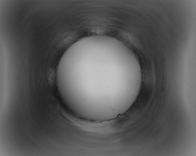 X0000086900036200704161328