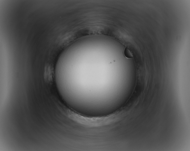 X0000086900038200704161328