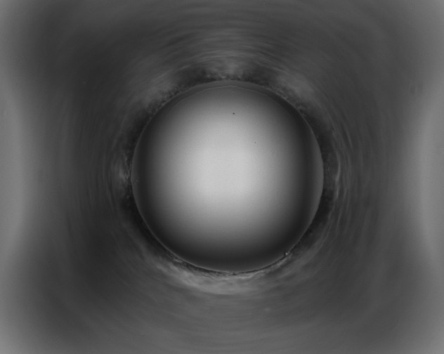 X0000086900040200704161328