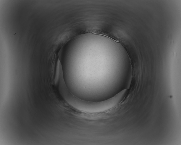 X0000086900041200704161328
