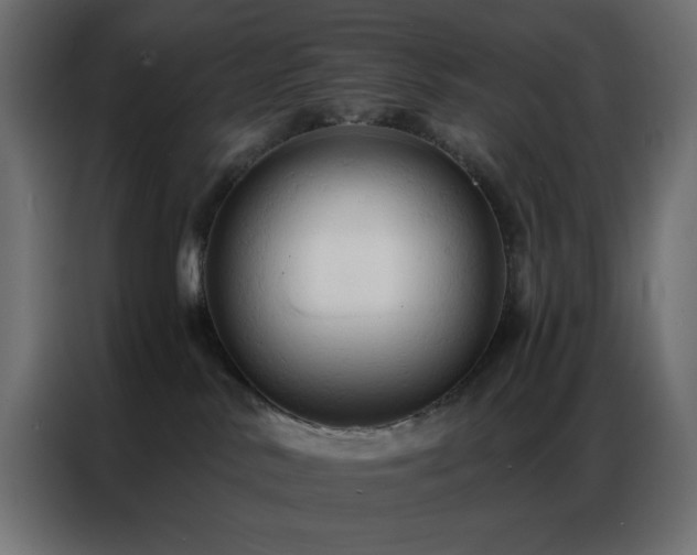 X0000086900042200704161328