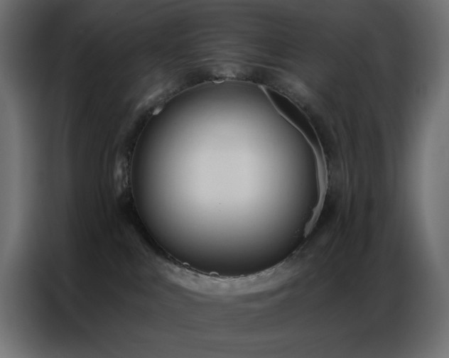 X0000086900043200704161328
