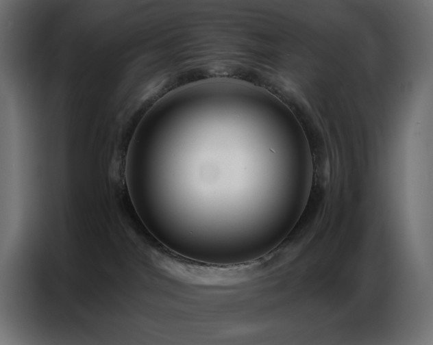 X0000086900044200704161328