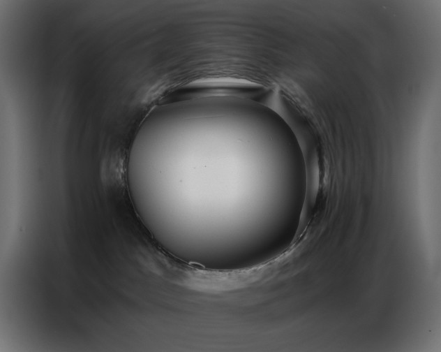 X0000086900045200704161328