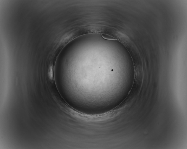 X0000086900046200704161328