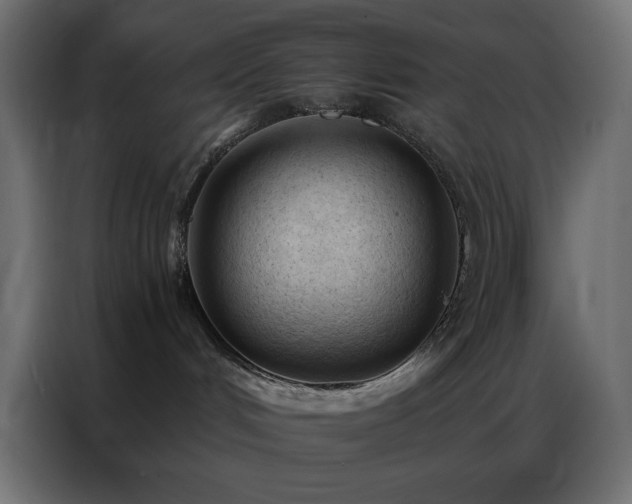 X0000086900048200704161328
