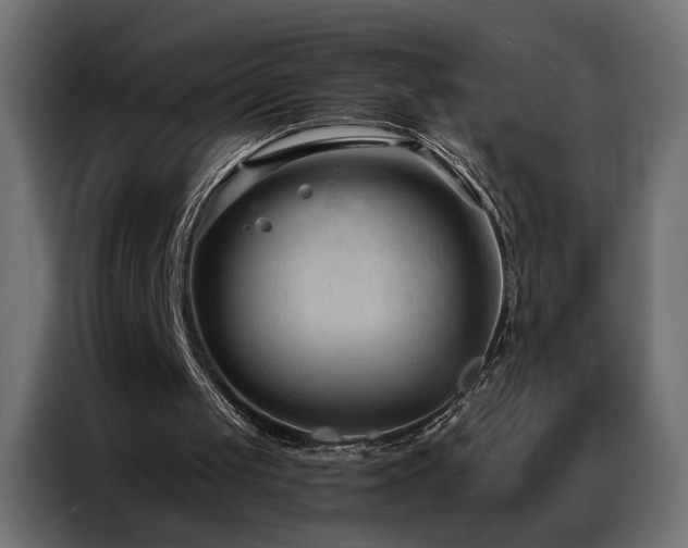 X0000086900049200704161327