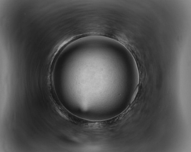 X0000086900050200704161327
