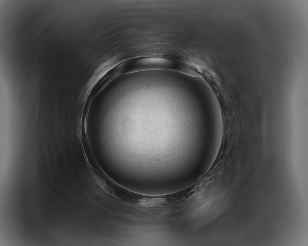 X0000086900051200704161327