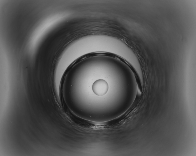 X0000086900052200704161327