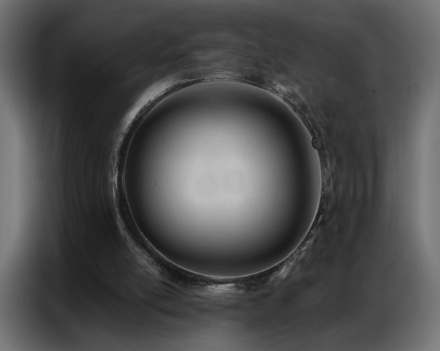 X0000086900054200704161327