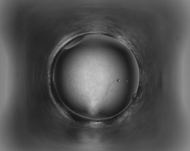X0000086900055200704161327