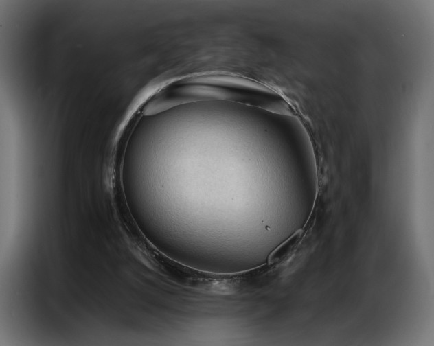 X0000086900056200704161328