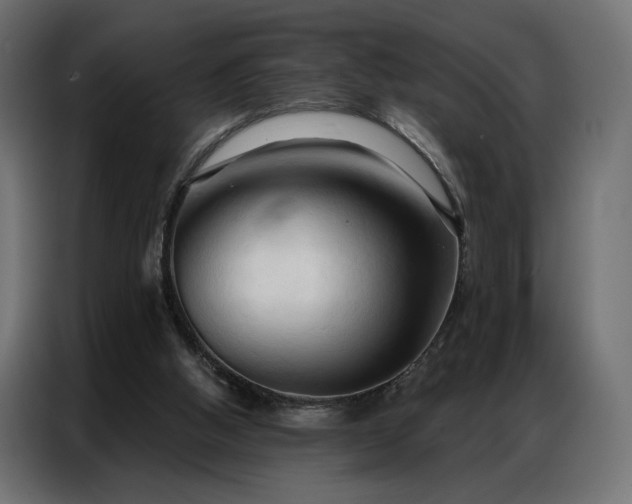 X0000086900058200704161328