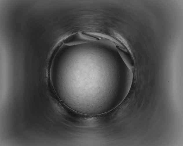 X0000086900059200704161328