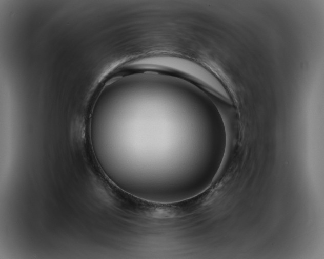 X0000086900060200704161328