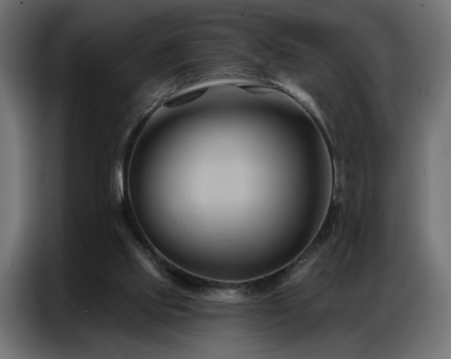 X0000086900061200704161328