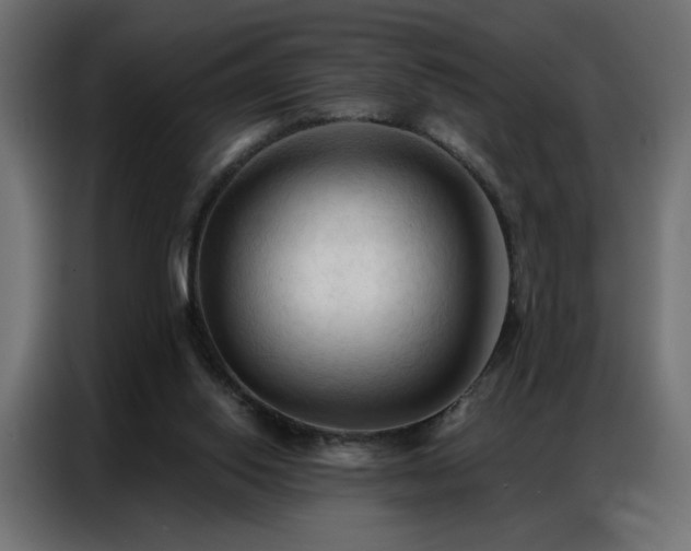 X0000086900062200704161328