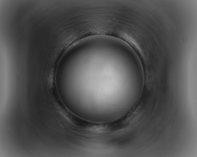 X0000086900065200704161328