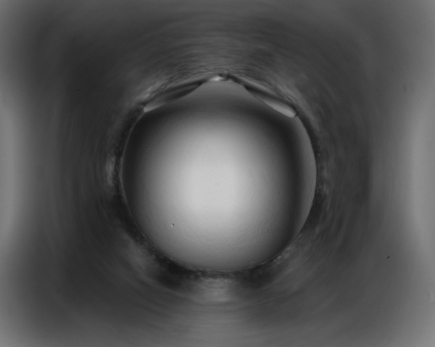 X0000086900066200704161328