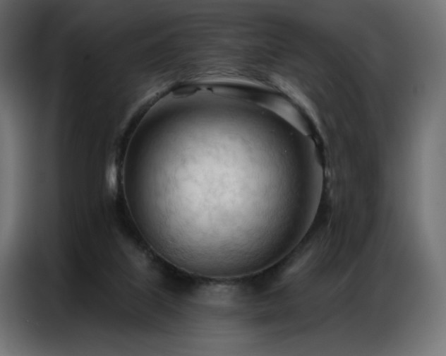 X0000086900067200704161328