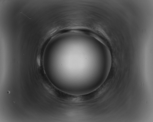 X0000086900068200704161328