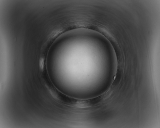 X0000086900070200704161328