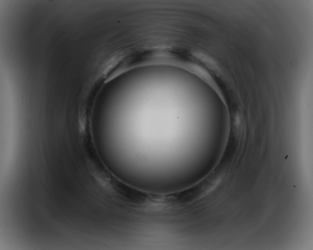 X0000086900072200704161328