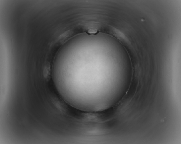 X0000086900073200704161328