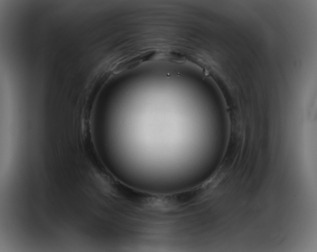 X0000086900074200704161328