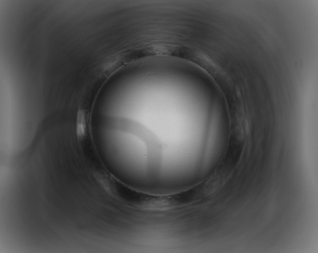 X0000086900075200704161328