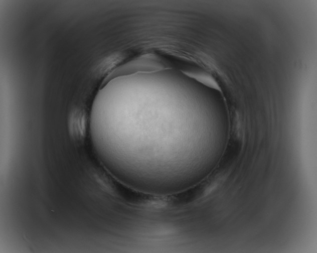 X0000086900076200704161328