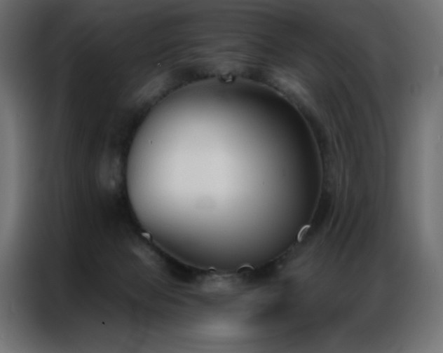 X0000086900077200704161328