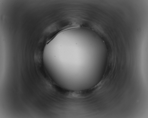 X0000086900078200704161328
