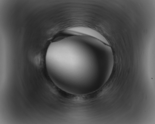 X0000086900080200704161328