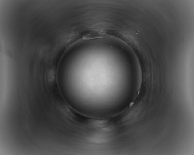 X0000086900081200704161328