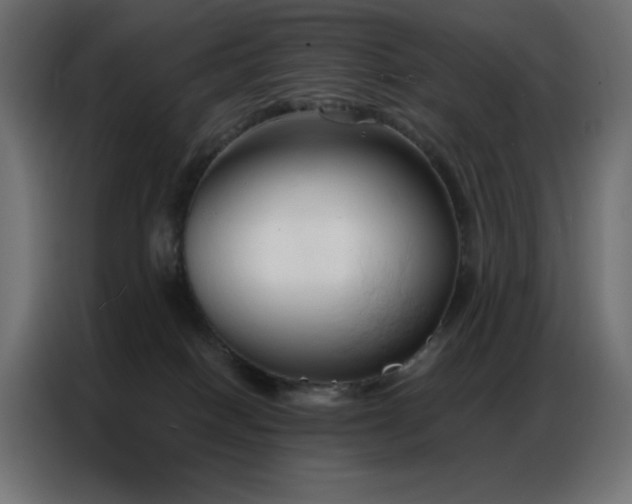 X0000086900086200704161328