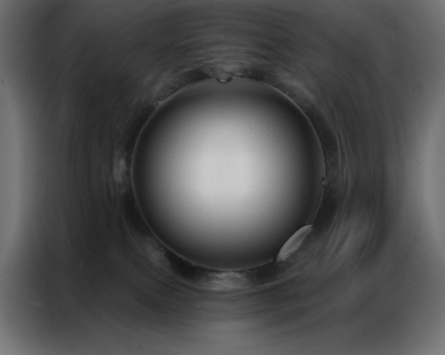 X0000086900087200704161328