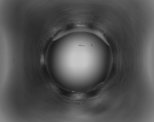 X0000086900089200704161328