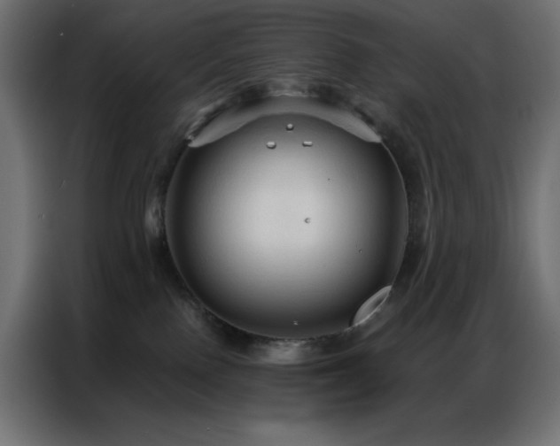 X0000086900090200704161328