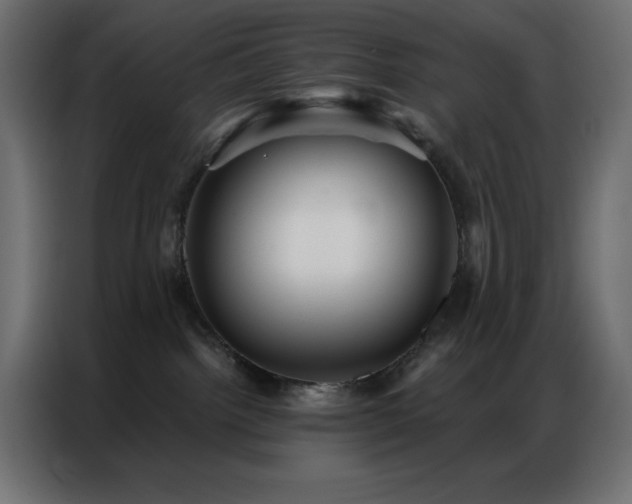 X0000086900092200704161328