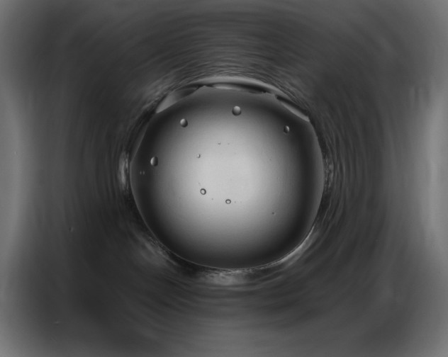 X0000086900094200704161328