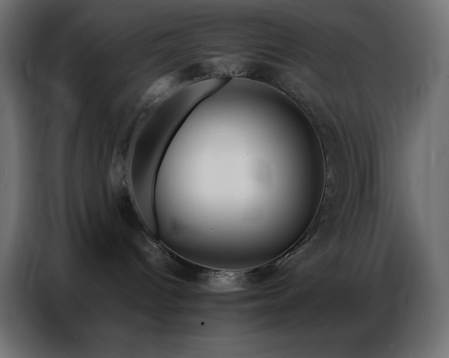 X0000086900096200704161328