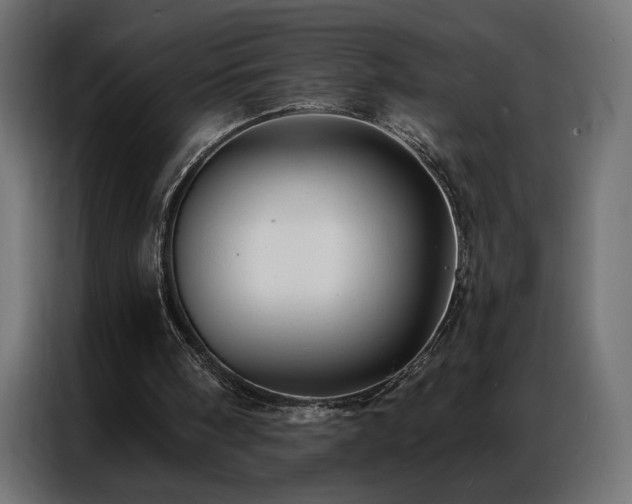 X0000086900098200704161327