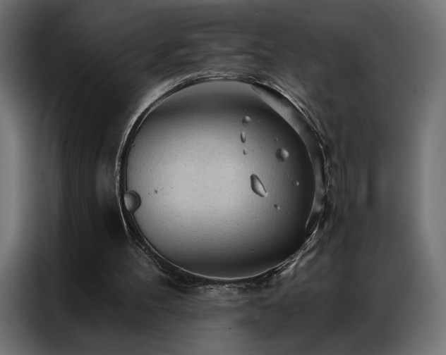 X0000086900100200704161327