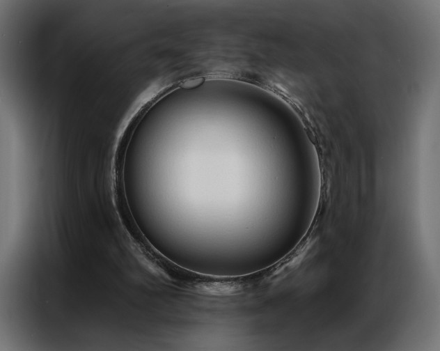 X0000086900102200704161327