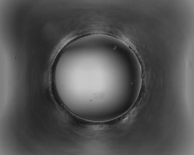 X0000086900103200704161327