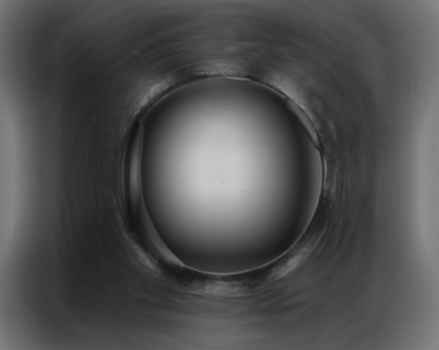 X0000086900109200704161327